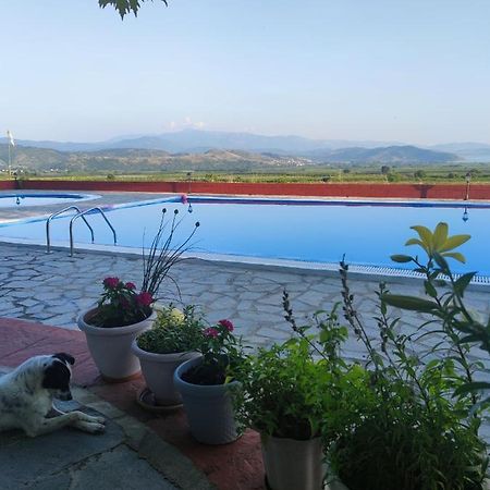 Hotel Περι Ανεμων à Zervi Extérieur photo