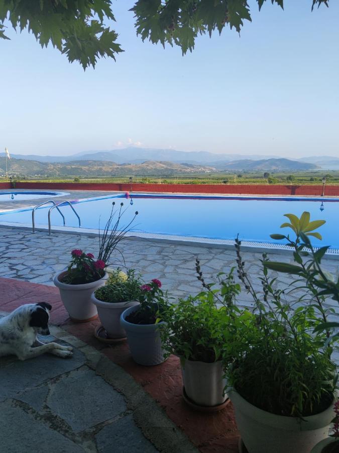 Hotel Περι Ανεμων à Zervi Extérieur photo